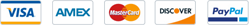 Payment Icon 2